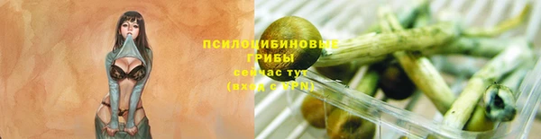 бошки Верхнеуральск