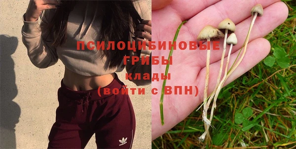 бошки Верея